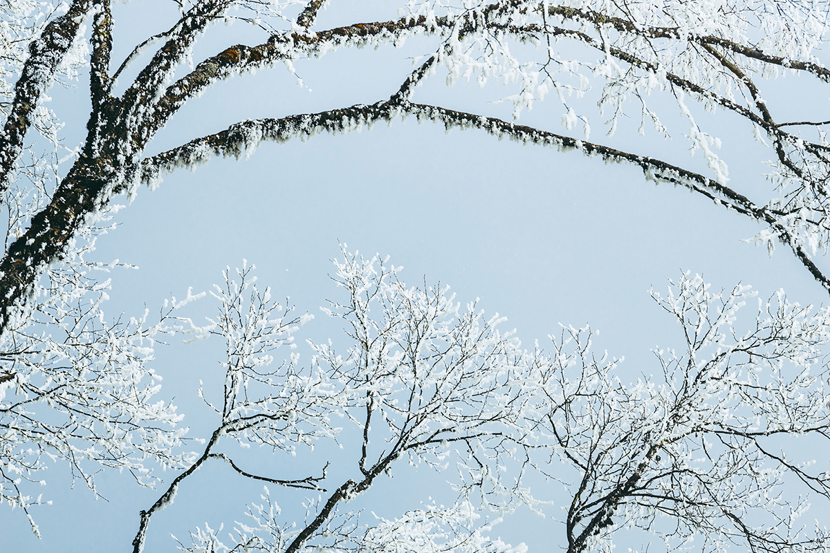 Invierno en Si Chuan por Li Ye